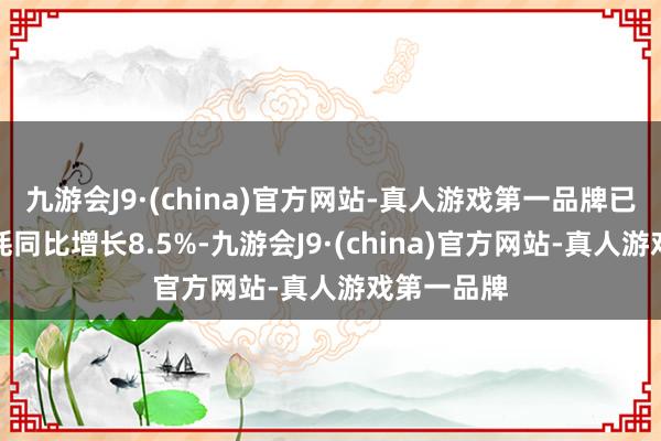 九游会J9·(china)官方网站-真人游戏第一品牌已毕旅游破耗同比增长8.5%-九游会J9·(china)官方网站-真人游戏第一品牌