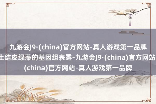 九游会J9·(china)官方网站-真人游戏第一品牌该连系初度完成泥土结皮绿藻的基因组表露-九游会J9·(china)官方网站-真人游戏第一品牌