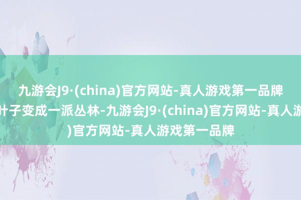 九游会J9·(china)官方网站-真人游戏第一品牌一派焦黄的叶子变成一派丛林-九游会J9·(china)官方网站-真人游戏第一品牌