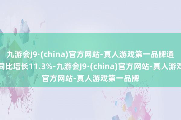 九游会J9·(china)官方网站-真人游戏第一品牌通信器材类同比增长11.3%-九游会J9·(china)官方网站-真人游戏第一品牌